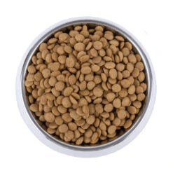 Vetality Skin Support - Hundefutter -Trixie Store vetality skin support hondenvoer 195221 0500 none